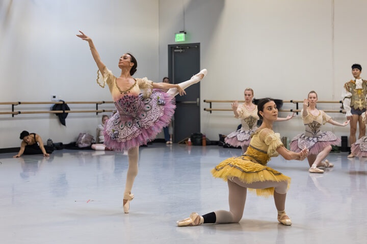 Behind the Scenes: Daniela Cardim on The Sleeping Beauty