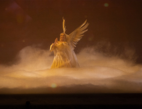 Web Angel 2